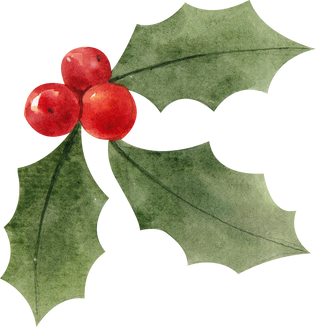 Watercolor Holly Berries